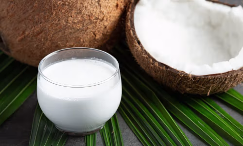 Strategi Pemasaran Produk Santan Kelapa untuk Bisnis Sukses