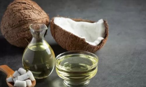 Produksi Minyak Batok Kelapa Skala Bisnis dan juga Manfaatnya