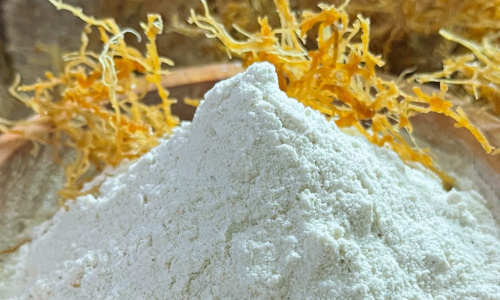 Harga Tepung Rumput Laut, Faktor dan Cara Terbaik