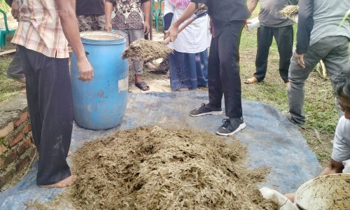 Lama Fermentasi Pelepah Sawit yang Ideal