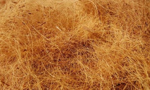 Cara Mencari Buyer Sabut Kelapa Asing yang Efektif