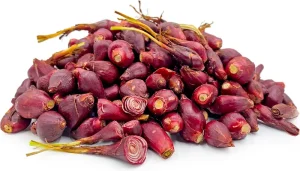 Cara mengolah bawang Dayak