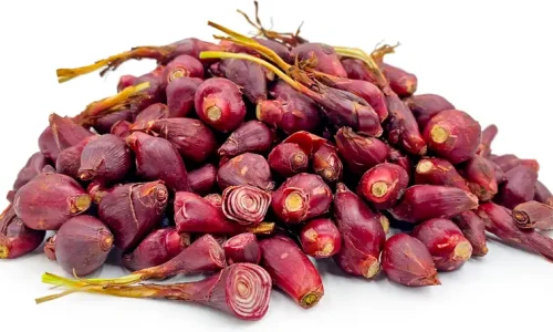 Cara Mengolah Bawang Dayak untuk Berbagai Manfaat