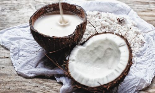 Peluang Usaha Kelapa Tua yang Menjanjikan dan Menguntungkan