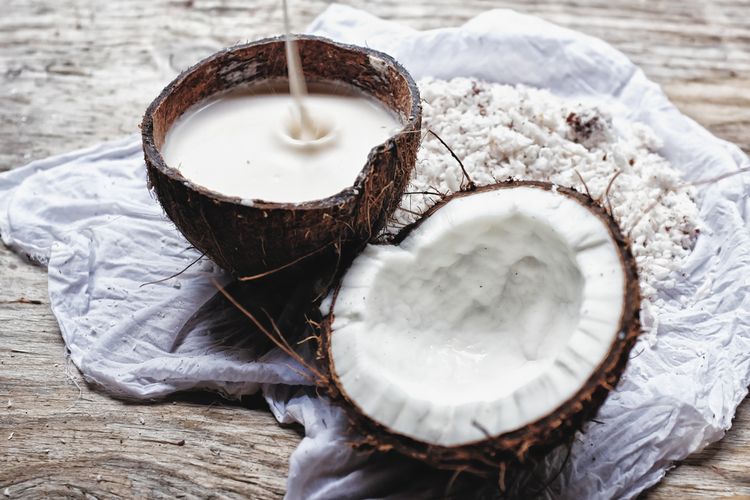 Peluang usaha kelapa tua