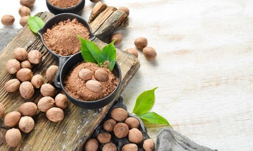 Budidaya Buah Pala untuk Keuntungan Maksimal