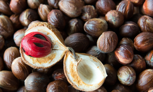 Bisnis Buah Pala dengan Keuntungan Besar