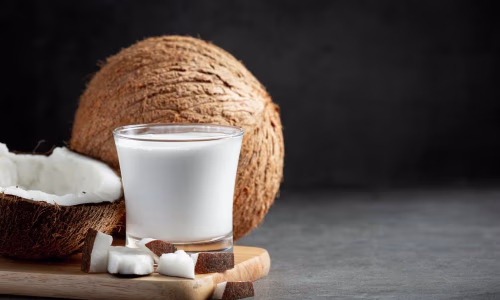 Target Pasar Bisnis Kelapa Tua dan Peluang Keuntungannya