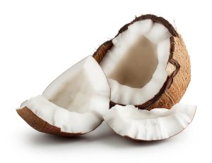 Peluang usaha kelapa tua