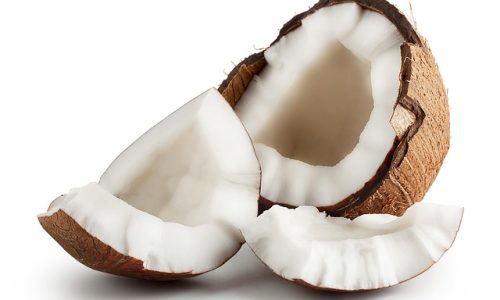 Peluang Usaha Kelapa Tua yang Menguntungkan