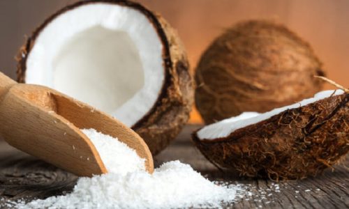 Keuntungan Usaha Santan Kelapa yang Menggiurkan