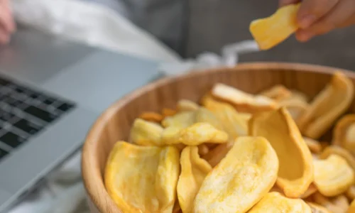 Inovasi Makanan dengan Vacuum Frying