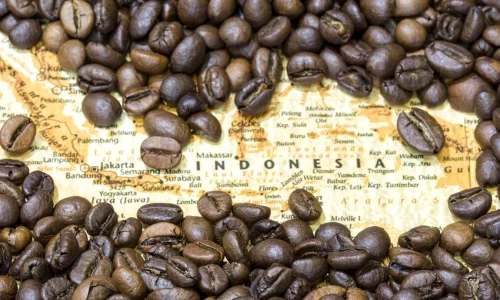 Kopi Lokal yang Mendunia, Dari Desa ke Dunia