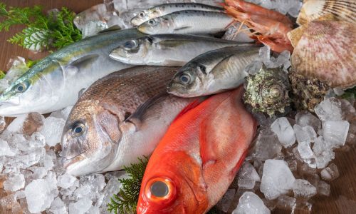Vacuum Sealer Ikan: Teknik Penyimpanan Menjaga Kualitas Laut