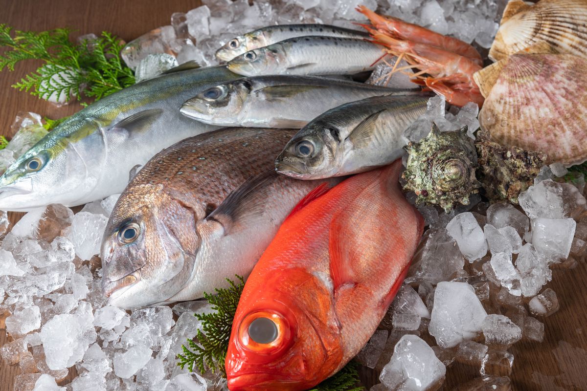 Vacuum Sealer Ikan: Teknik Penyimpanan Menjaga Kualitas Laut