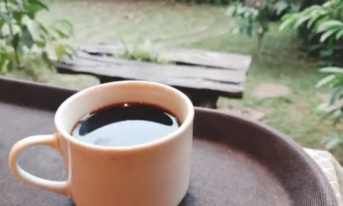 Ngopi di Rumah, Nikmati Kopi Seperti di Kafe