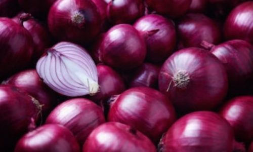 Solusi Nyata Peluang Bisnis Pengupas Bawang