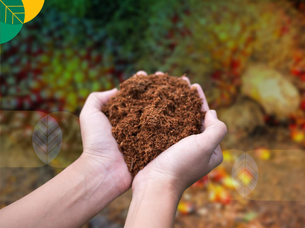 kelebihan cocopeat untuk hidroponik