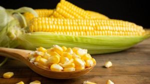 ilustrasi-manfaat-jagung