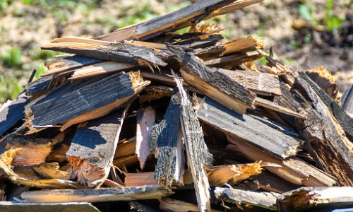Peluang dari Usaha Penghancuran Kayu Limbah