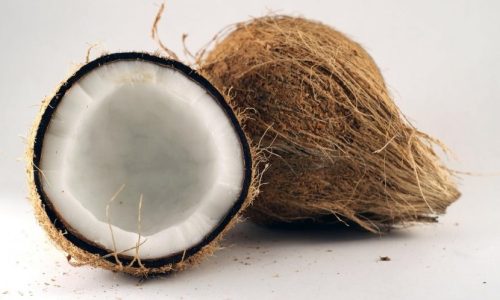 Peluang Bisnis Perasan Santan Kelapa yang Menjanjikan