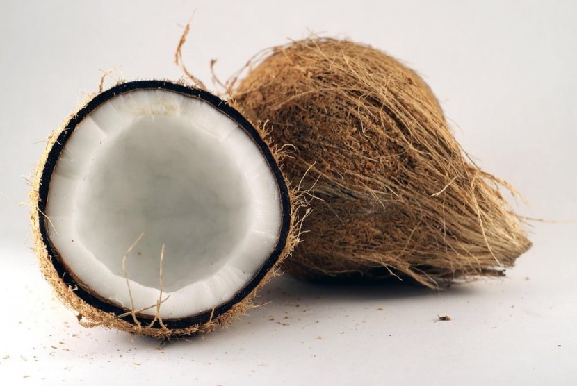 Bisnis Perasan Santan Kelapa