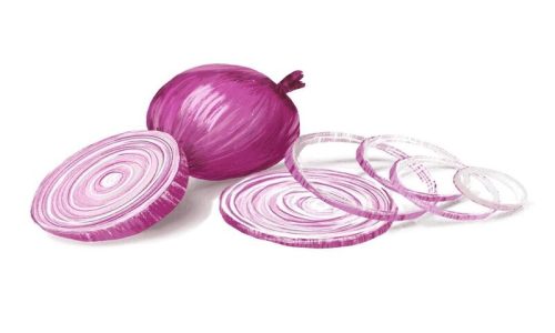 Alat Pemotong Bawang Cepat untuk Memasak Lebih Praktis