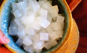 usaha nata de coco untuk pemula