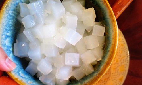 Langkah Mudah Memulai Usaha Nata de Coco Bagi Pemula