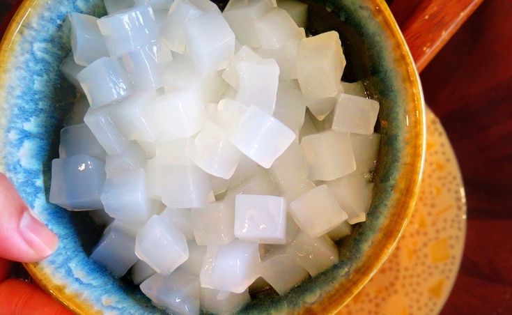 usaha nata de coco untuk pemula