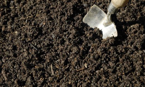 Jenis Struktur Tanah Pertanian yang Menentukan Hasil Panen
