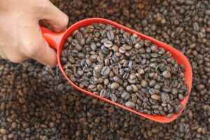 coffee roasting machine untuk kopi arabika
