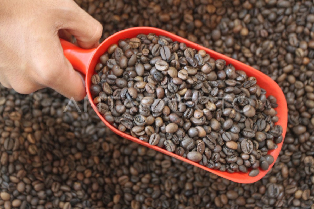 coffee roasting machine untuk kopi arabika