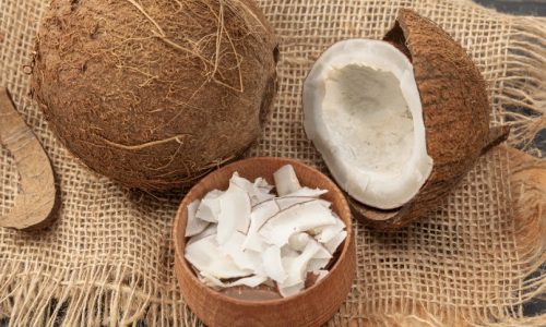 Alat Parut Kelapa untuk Usaha Rumahan yang Berkualitas