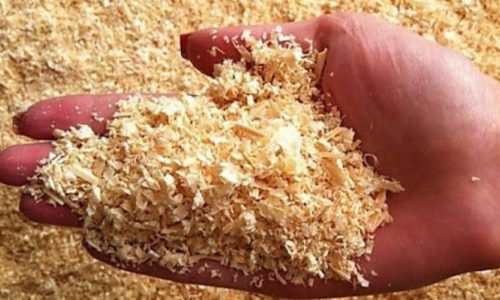 Cara Efektif Penghancuran Kayu Jadi Serbuk
