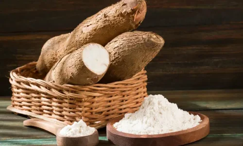 Bisnis Produksi Tepung Tapioka Efisien dan Menguntungkan