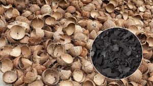 coconut briquettes renewable fuel