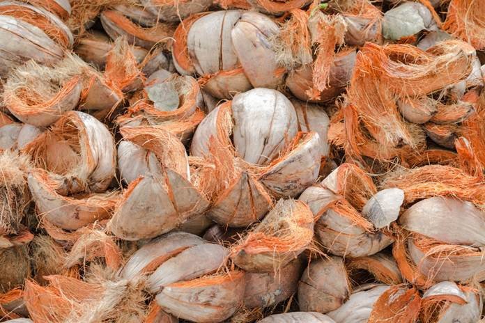 sabut kelapa mendukung pertanian rendah emisi