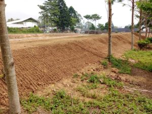 cocomesh alami untuk rehabilitasi hutan tropis
