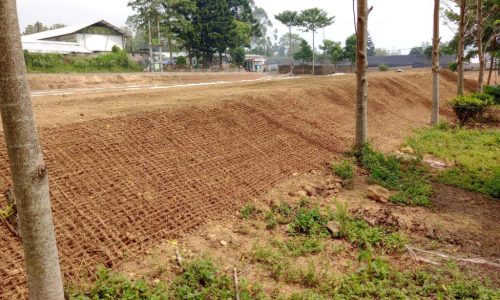 Cocomesh Alami untuk Rehabilitasi Hutan Tropis, Ini Penjelasannya