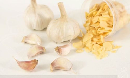 Strategi Usaha Bawang Putih Goreng untuk Pemula Cepat Untung