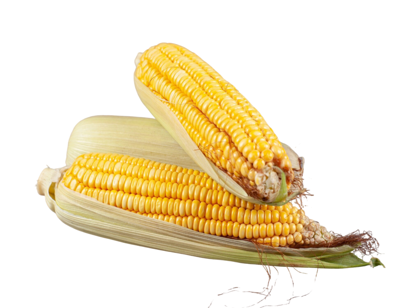 Alat pemipih jagung rebus