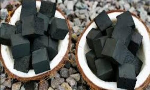 Cara Membuat Briket Arang dengan Proses Sederhana dan Efisien