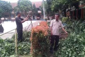 Integrasi Cocomesh dalam Kurikulum Sekolah Hijau