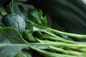 manfaat sawi hijau untuk metabolisme