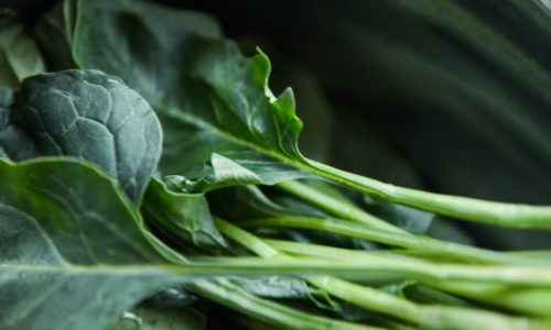 Manfaat Sawi Hijau untuk Metabolisme Tubuh