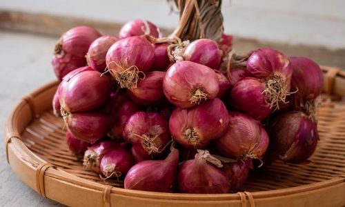 Mesin Pemotong Bawang untuk Produksi Besar