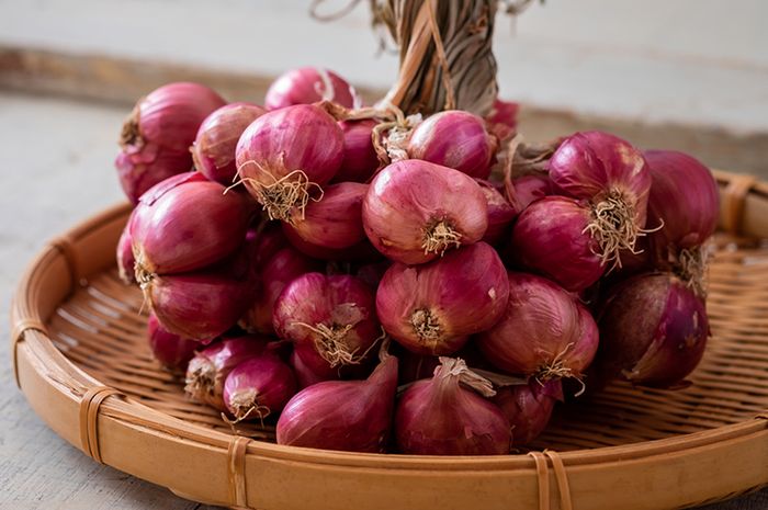 mesin pemotong bawang untuk produksi besar