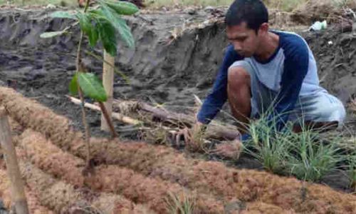 Sabut Kelapa Berbasis Alam untuk Produk Ramah Lingkungan