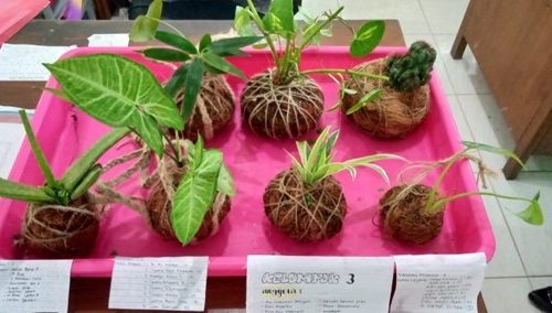 Cocomesh untuk Praktek Ekosistem Sekolah